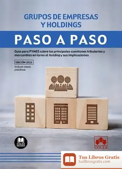 Descargar Grupos De Empresas Y Holdings. Paso A Paso