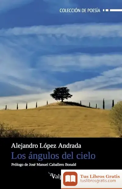 Descargar Los Ángulos Del Cielo