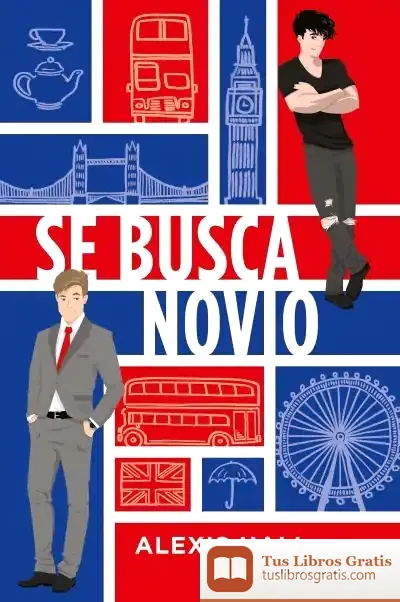 Descargar Se Busca Novio