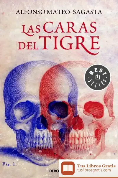 Descargar Las Caras Del Tigre de Alfonso Mateo-sagasta