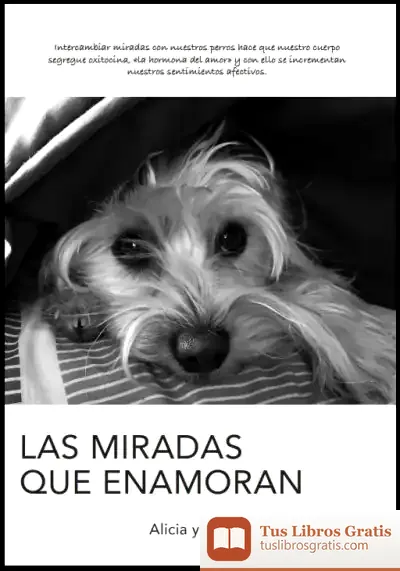 Descargar Las Miradas Que Enamoran