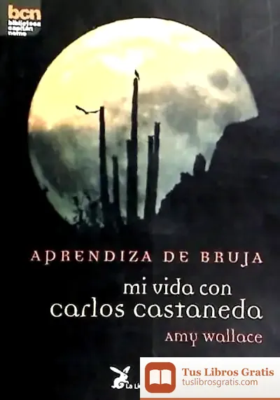 Descargar Aprendiza De Bruja