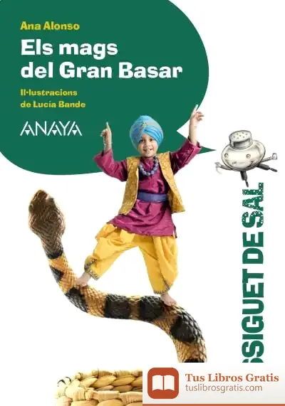 Descargar Els Mags Del Gran Basar de Ana Isabel Conejo Alonso