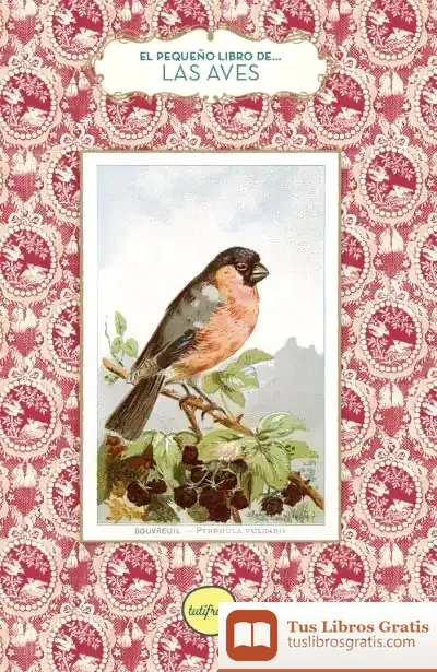 Descargar El Pequeño Libro De Las Aves