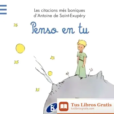 Descargar Penso En Tu de Antoine de Saint-exupéry