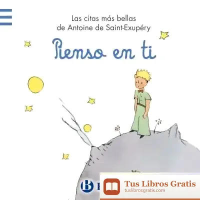 Descargar Pienso En Ti de Antoine de Saint-exupéry