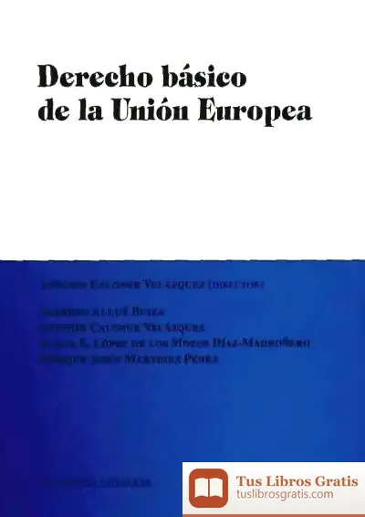 Descargar Derecho Básico De La Unión Europea