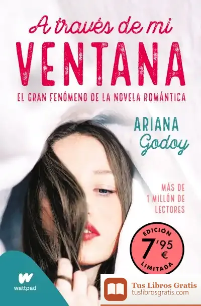 Descargar A Través De Mi Ventana (Edición Limitada A Precio Especial) (Trilogía Hermanos Hidalgo 1) de Ariana Godoy