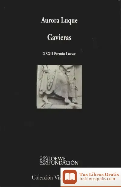 Descargar Gavieras de Aurora Luque
