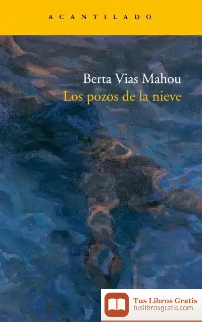 Descargar Los Pozos De La Nieve de Berta Vías Mahou