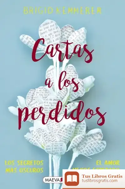 Descargar Carta A Los Perdidos de Brigid Kemmerer
