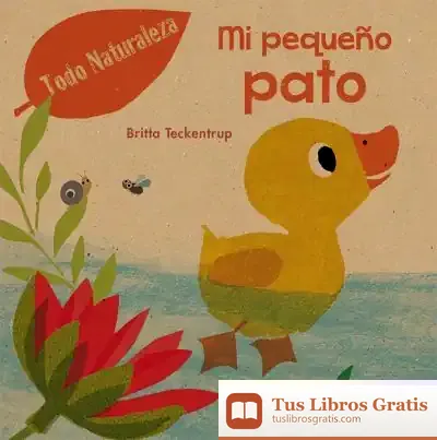 Descargar Mi Pequeño Pato de Britta Teckentrup