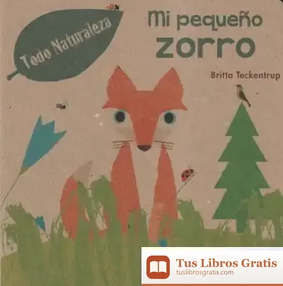Descargar Mi Pequeño Zorro de Britta Teckentrup