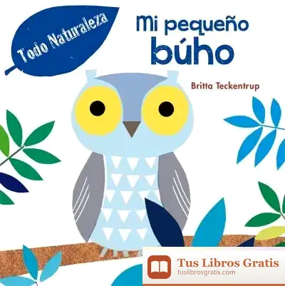 Descargar Pequeño Búho, Mi de Britta Teckentrup