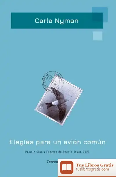 Descargar Elegías Para Un Avión Común