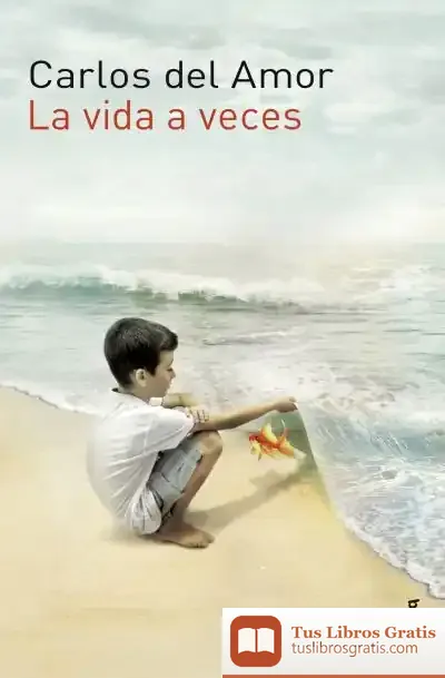 Descargar La Vida A Veces
