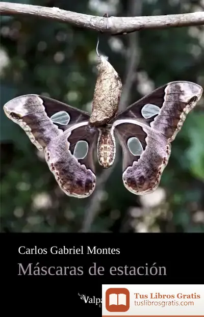 Descargar Máscaras De Estación