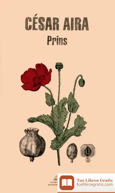 Descargar Prins