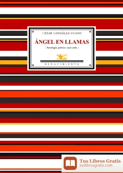 Descargar Ángel En Llamas