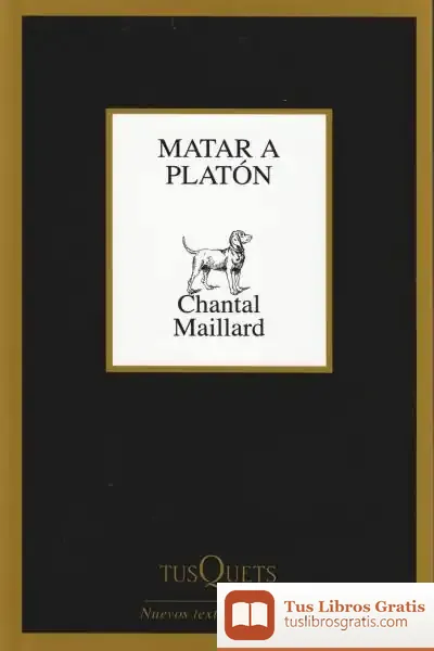 Descargar Matar A Platón de Chantal Maillard