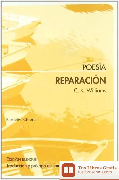 Descargar Reparacion