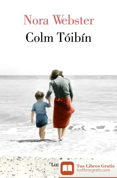 Descargar Nora Webster de Colm Tóibín