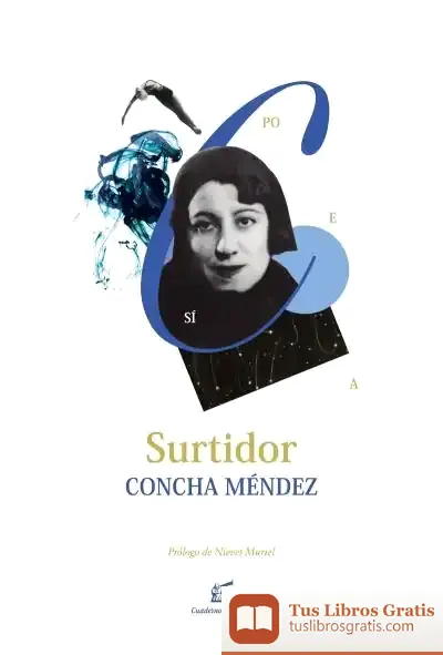 Descargar Surtidor