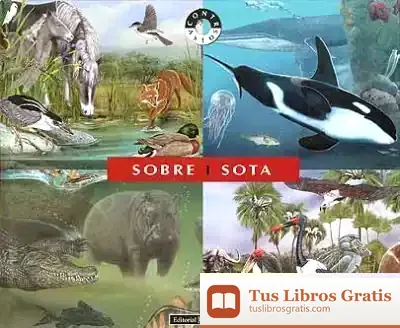 Descargar Sobre I Sota