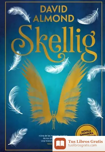 Descargar Skellig