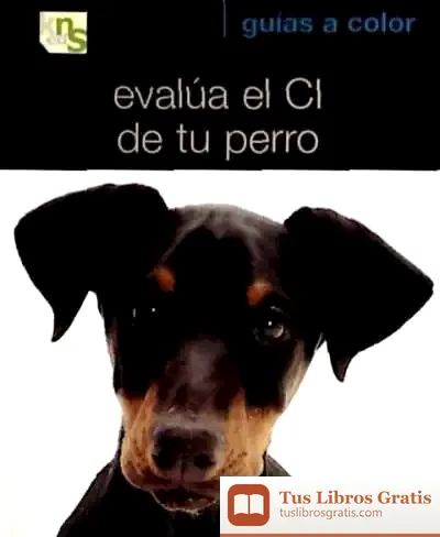 Descargar Evalúa El Ci De Tu Perro