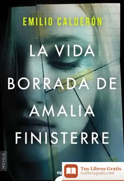 Descargar La Vida Borrada De Amalia Finisterre