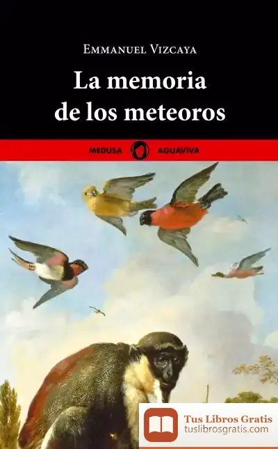 Descargar La Memoria De Los Meteoros