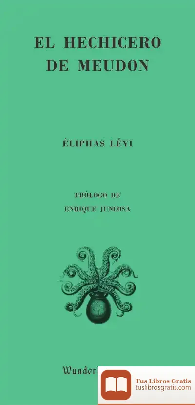 Descargar El Hechicero De Meudon de Enrique Juncosa
