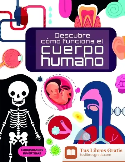 Descargar Descubre C?Mo Funciona El Cuerpo Humano