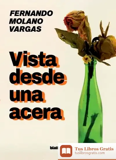 Descargar Vista Desde Una Acera