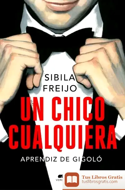 Descargar Un Chico Cualquiera de Fernando Vicente