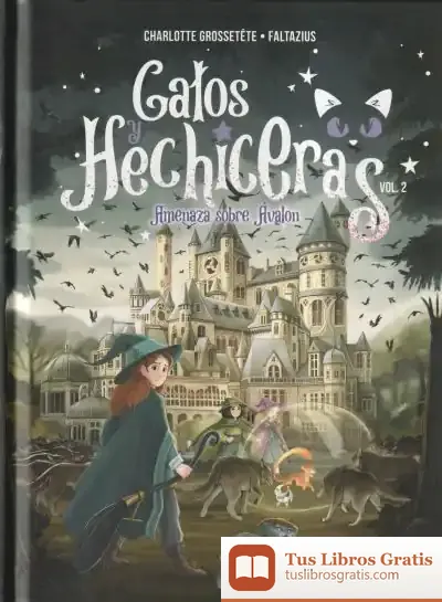 Descargar Gatos Y Hechiceras - Vol Ii de Francisco Javier Aguirre