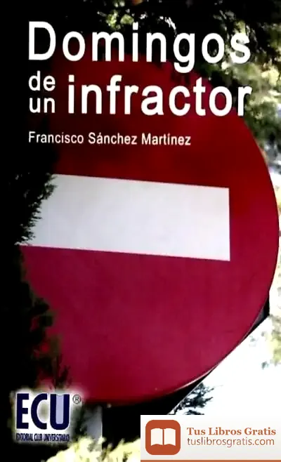 Descargar Domingos De Un Infractor de Marta Cabeza Villanueva