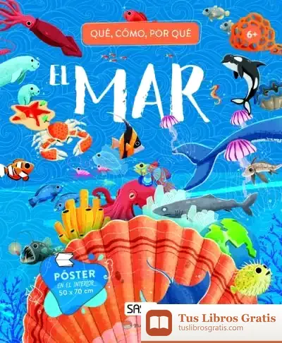Descargar Mar Cuando Como Por Qué