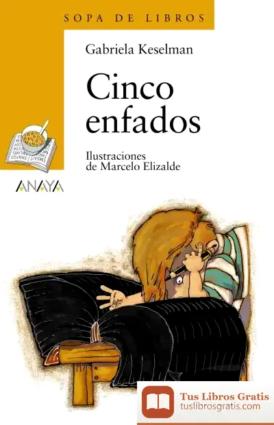 Descargar Cinco Enfados de Gabriela Keselman