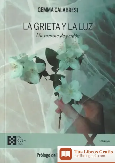 Descargar La Grieta Y La Luz: Un Camino De Perdón