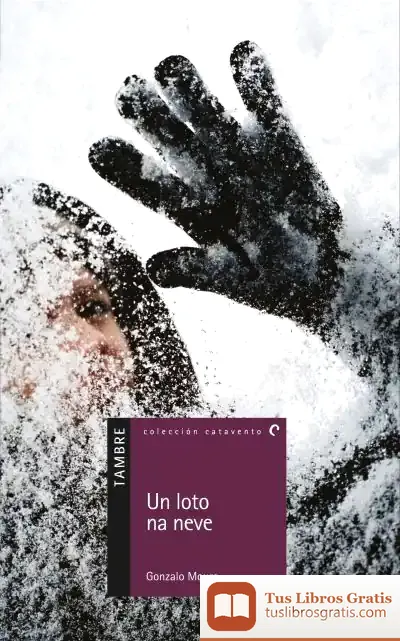 Descargar Un Loto Na Neve de Gonzalo Moure