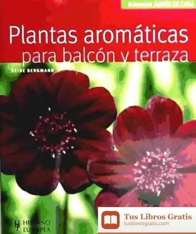 Descargar Plantas Aromáticas Para Balcón Y Terraza