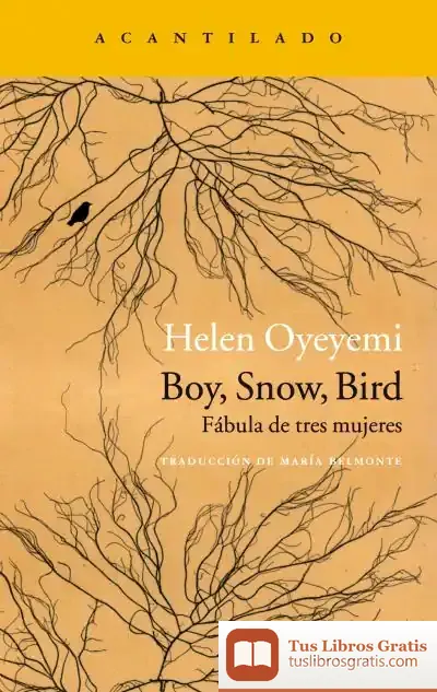 Descargar Boy, Snow, Bird
