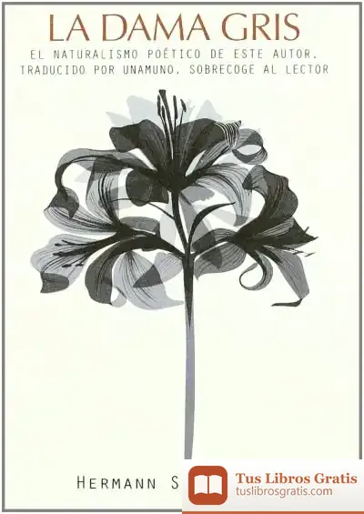 Descargar La Dama Gris