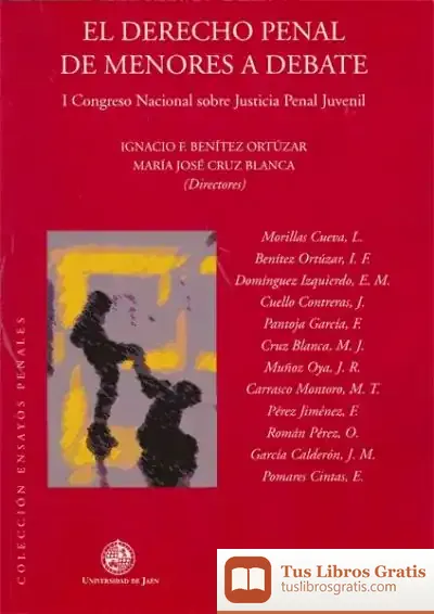 Descargar El Derecho Penal De Menores A Debate
