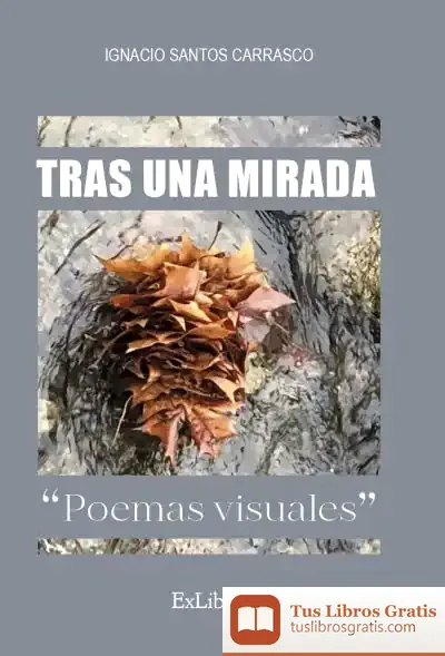 Descargar Tras Una Mirada. Poemas Visuales