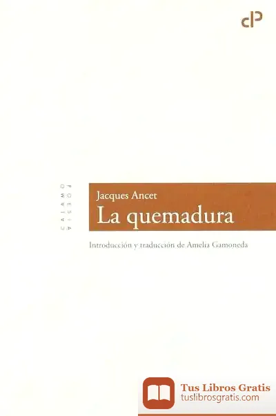 Descargar Quemadura, La