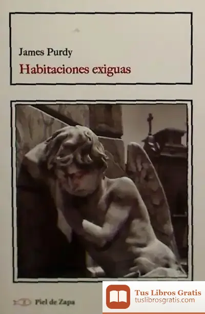 Descargar Habitaciones Exiguas