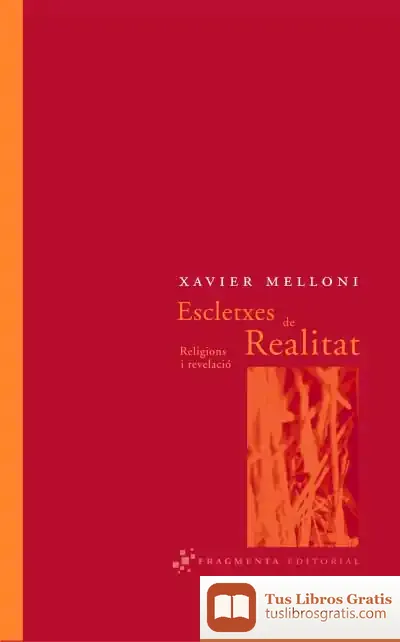 Descargar Escletxes De Realitat
